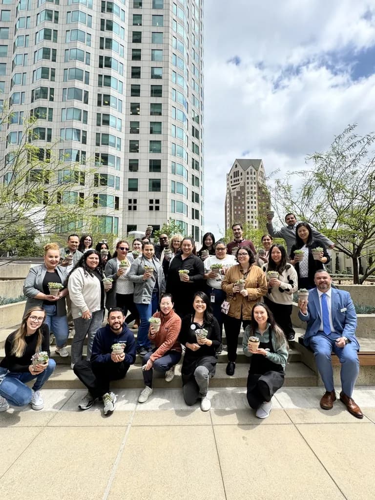 A team workshop on a rooftop, everyone potting their own succulent