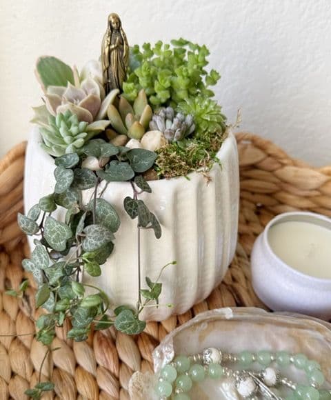 marian succulent garden