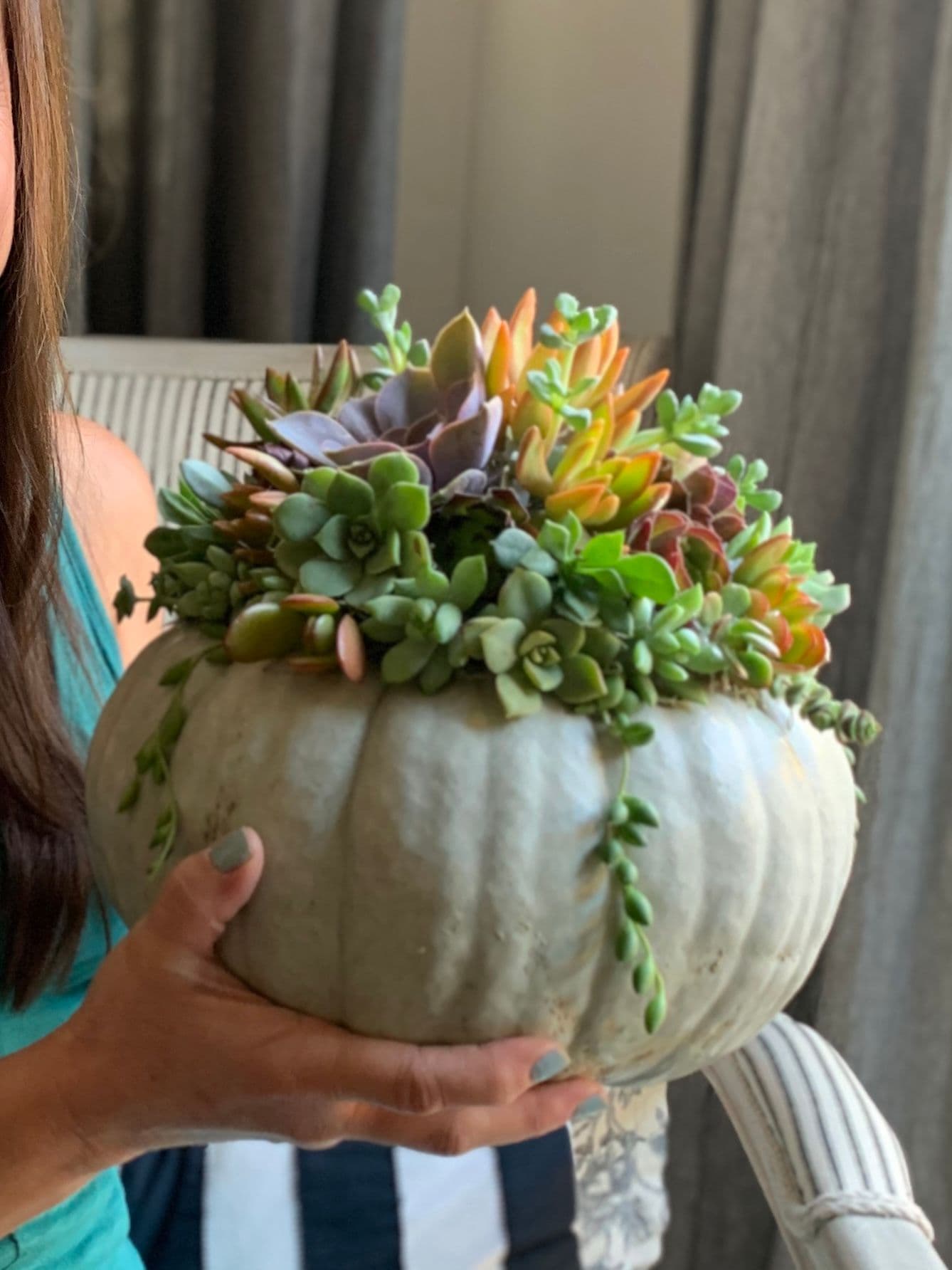 Large sage green pumpkin topped with colorful succulents, held in hand