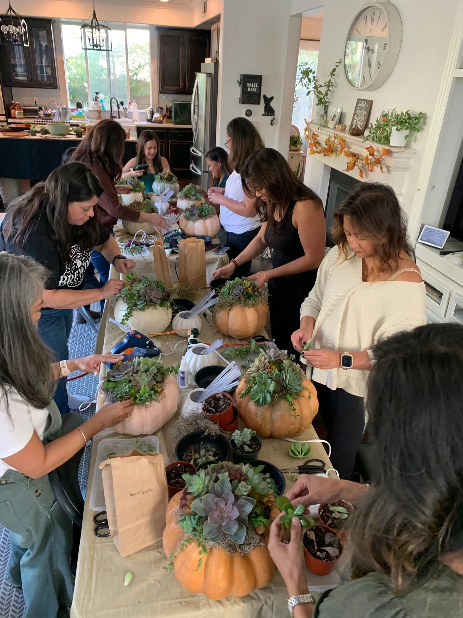 Group planting succulents in pumpkins at a home workshop