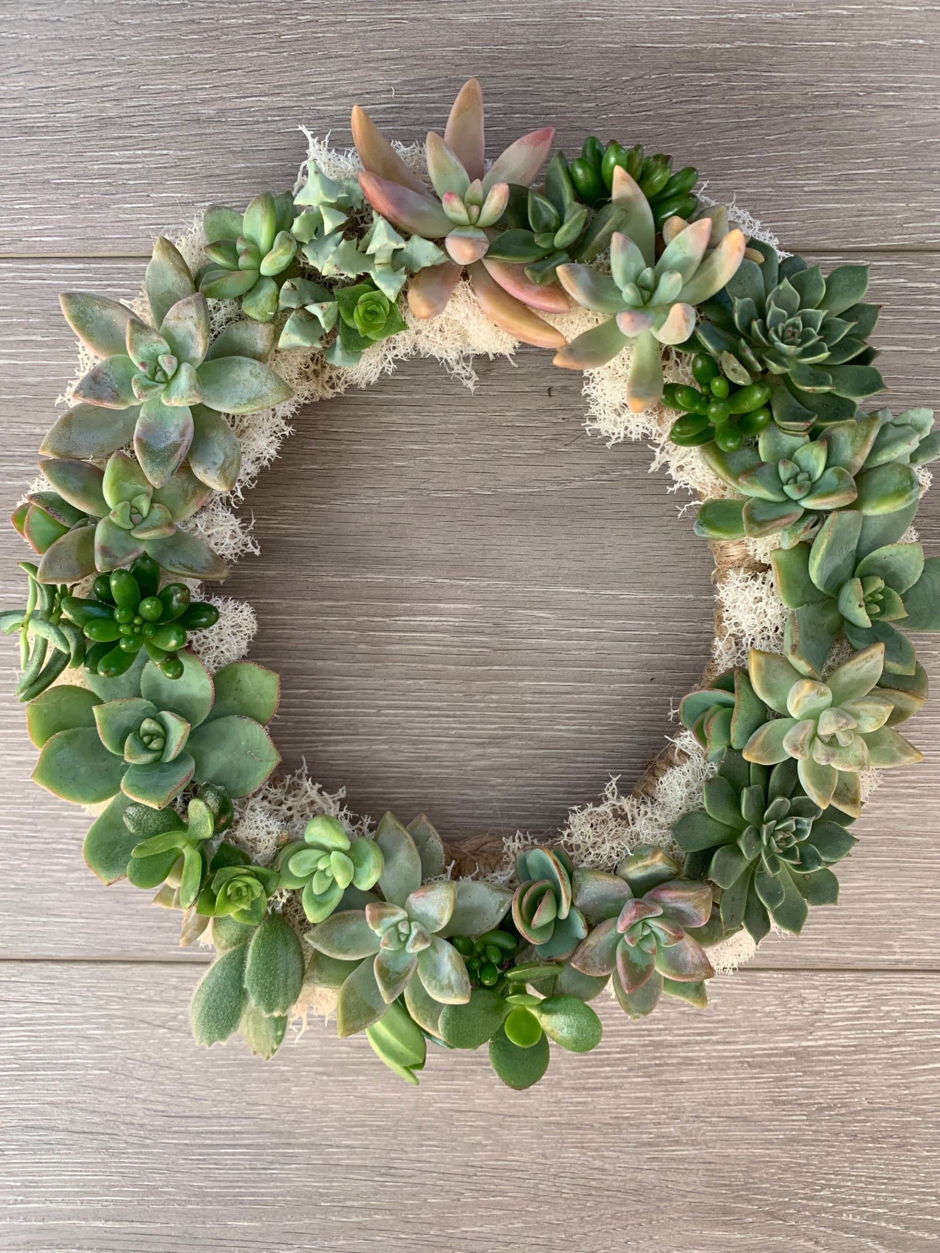 Round wreath covered in green and pink succulents