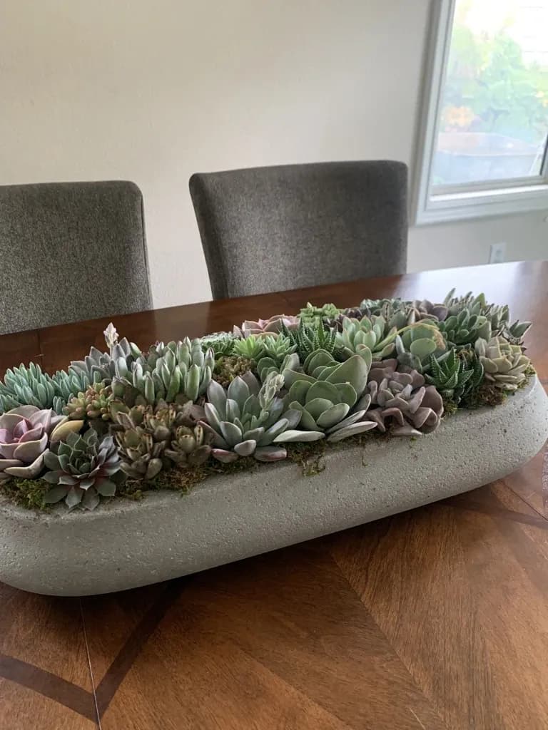 Long concrete planter filled with succulents on a dining table