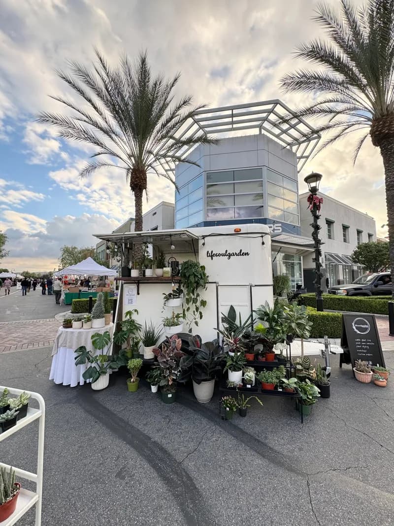 Lily Pod mobile plant shop with houseplants at an outdoor market under palm trees