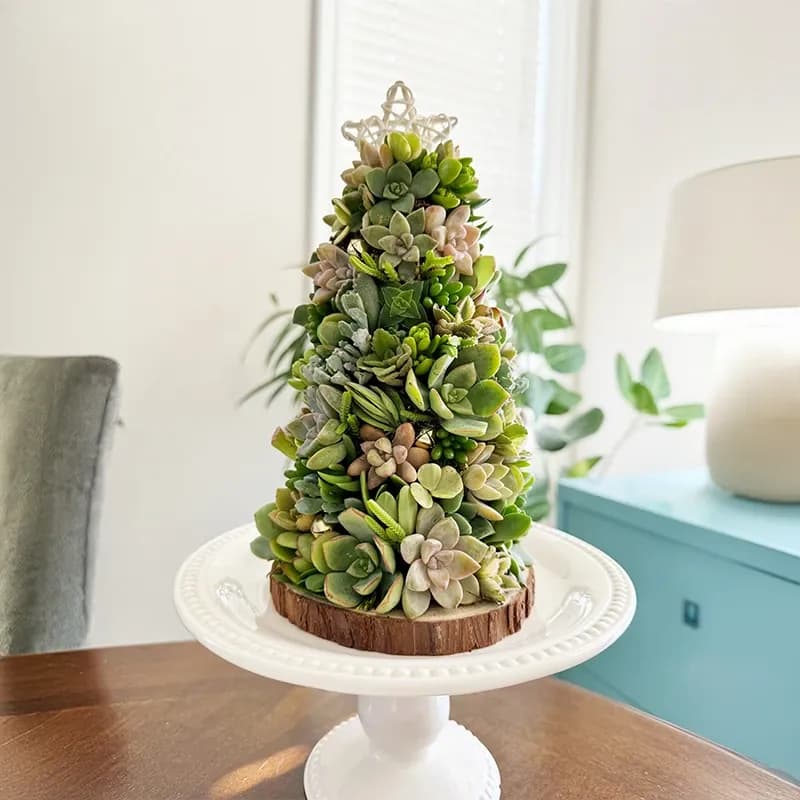 Succulent Christmas tree topped with a star on a white cake stand