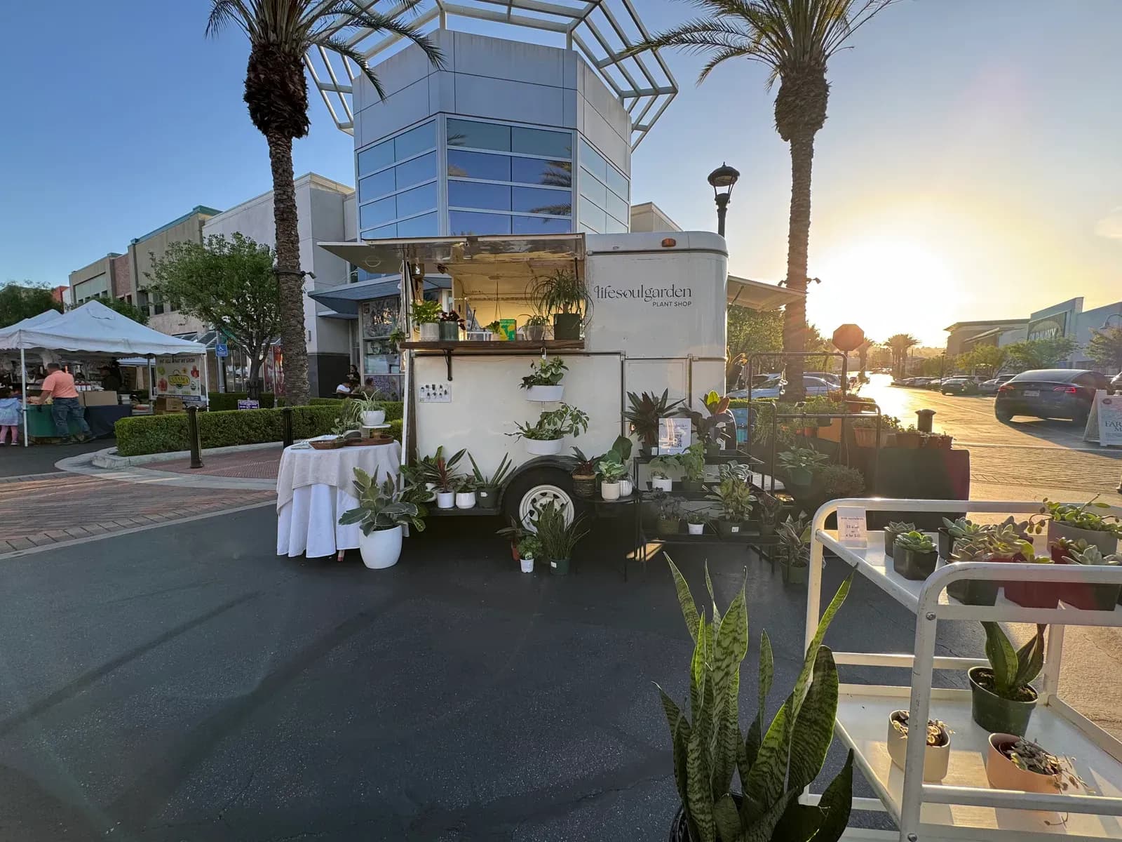 The lily pod, Lifesoulgarden's mobile plant shop trailer, set up outdoors at sunset