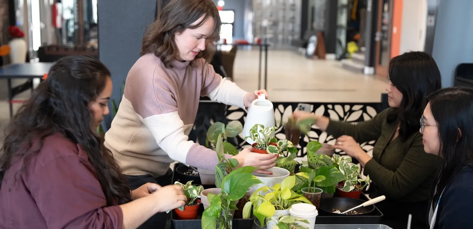 Four people potting houseplants around a table at a workshop, the instructor pouring water into a white pot