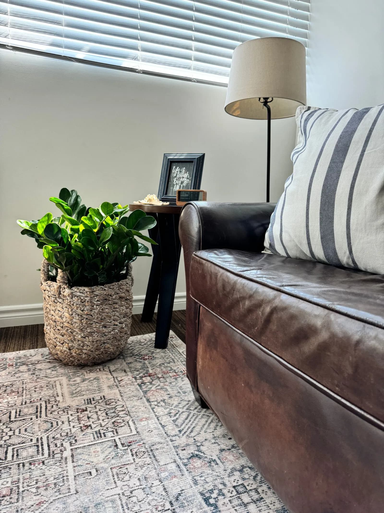 Large ZZ plant in a woven basket next to a leather sofa