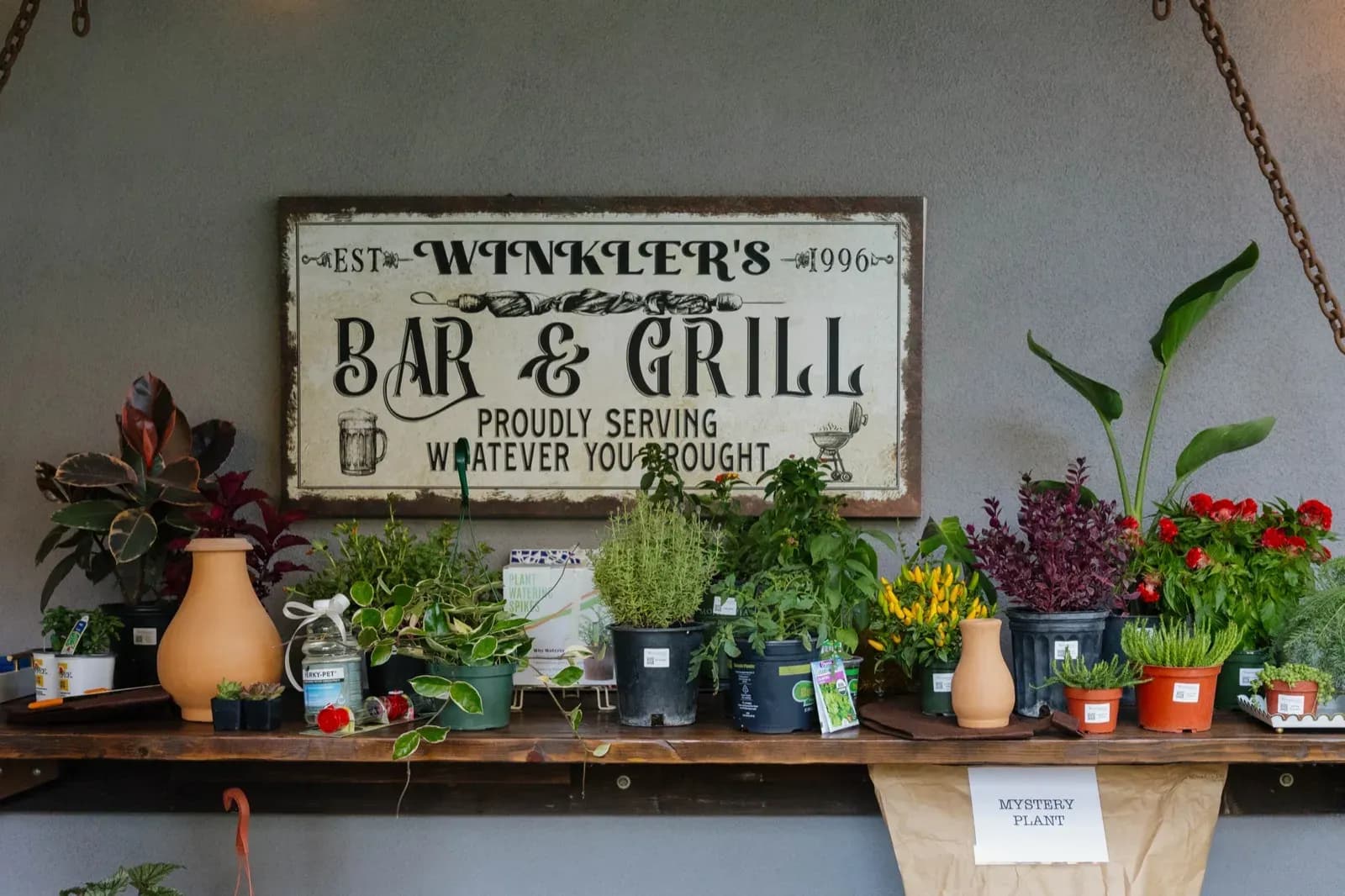The Plant Bingo prize shelf, lined with potted herbs, houseplants and flowering plants