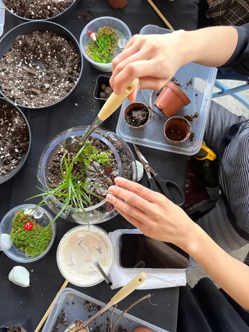 Hands building small terrariums at a workshop table, with bowls of soil and plants laid out